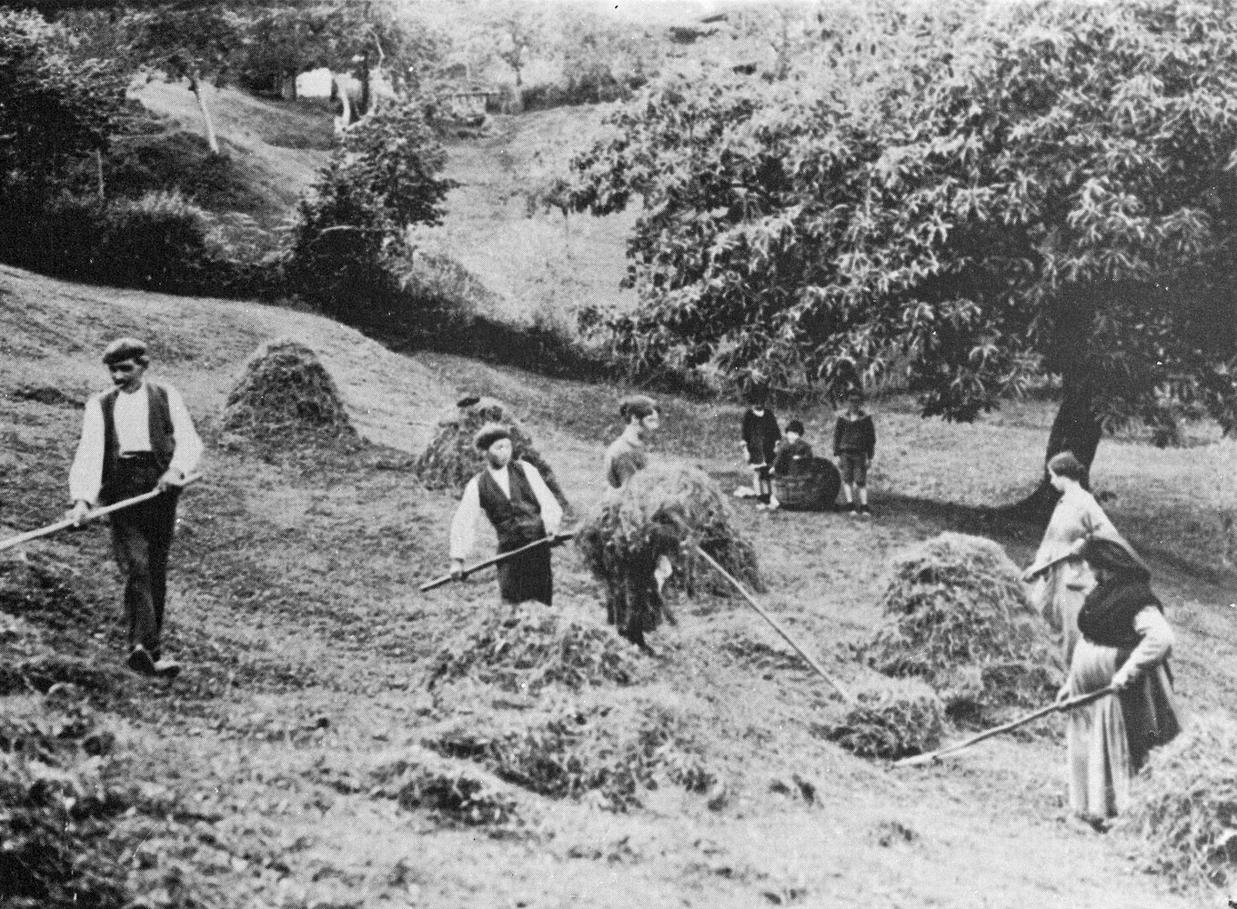 Imagen - 56 - Historia Gráfica de Asturias. Cabranes.