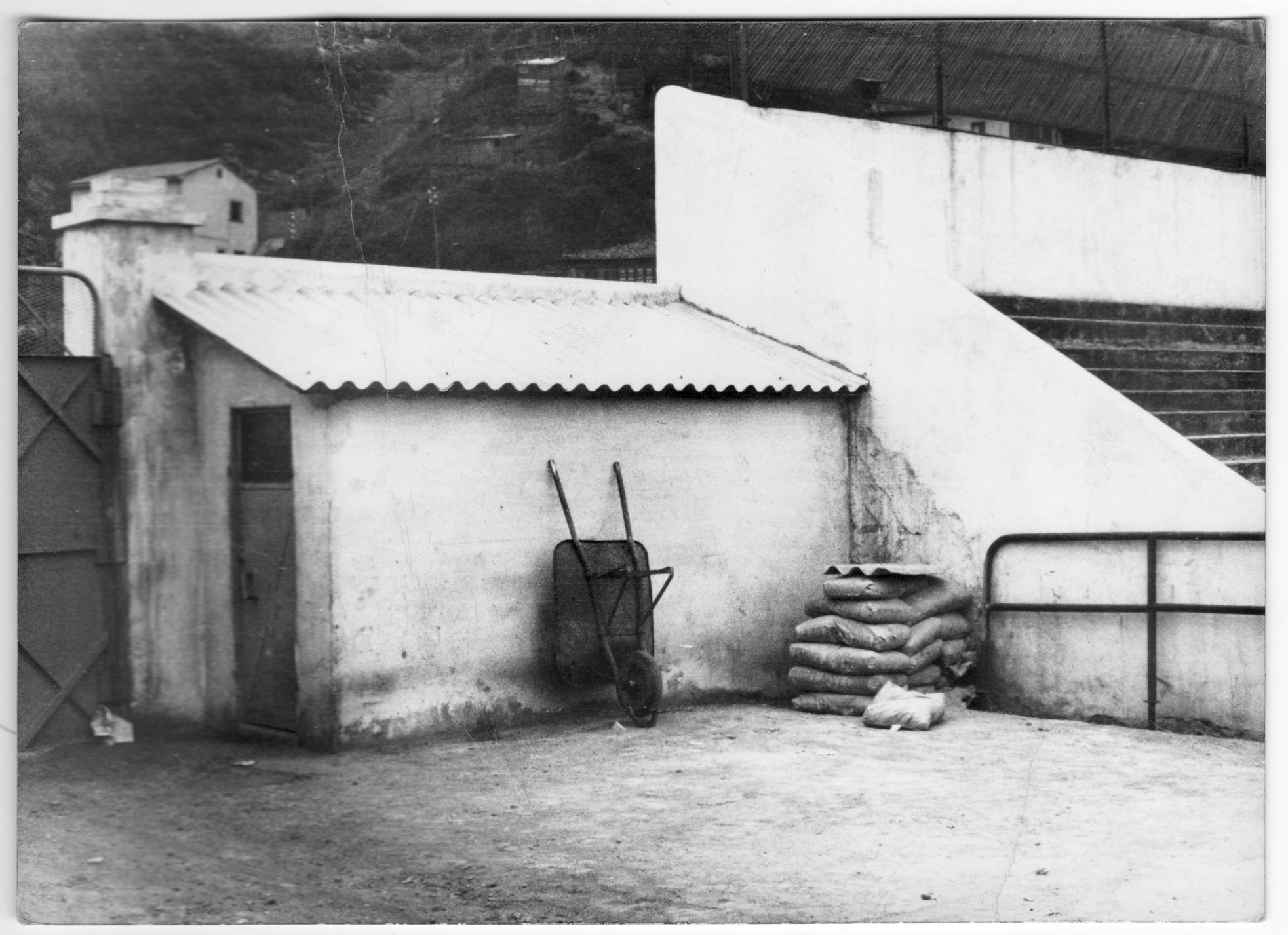 Imagen - Carretillo y sacos en el campo del Nalón, hacia 1965.