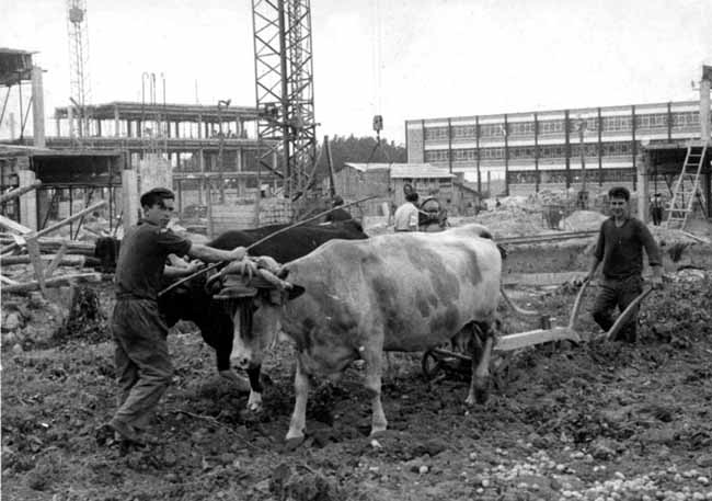 Imagen - Construcción del Instituto de Formación Profesional Ramón Losada de Luarca