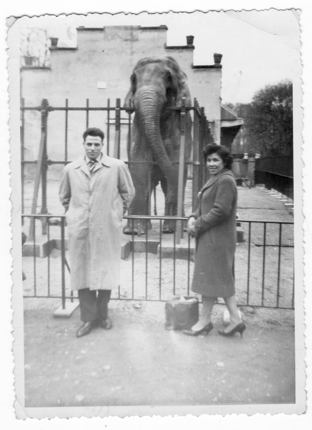 Imagen - Julia y Antonio junto al elefante del zoo de Francia
