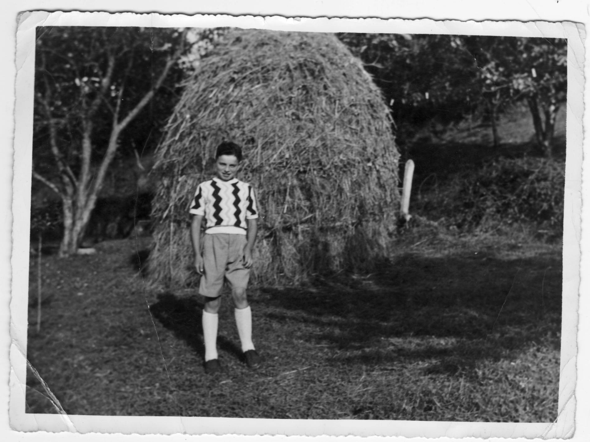 Imagen - Junto a la vara de hierba, hacia 1954