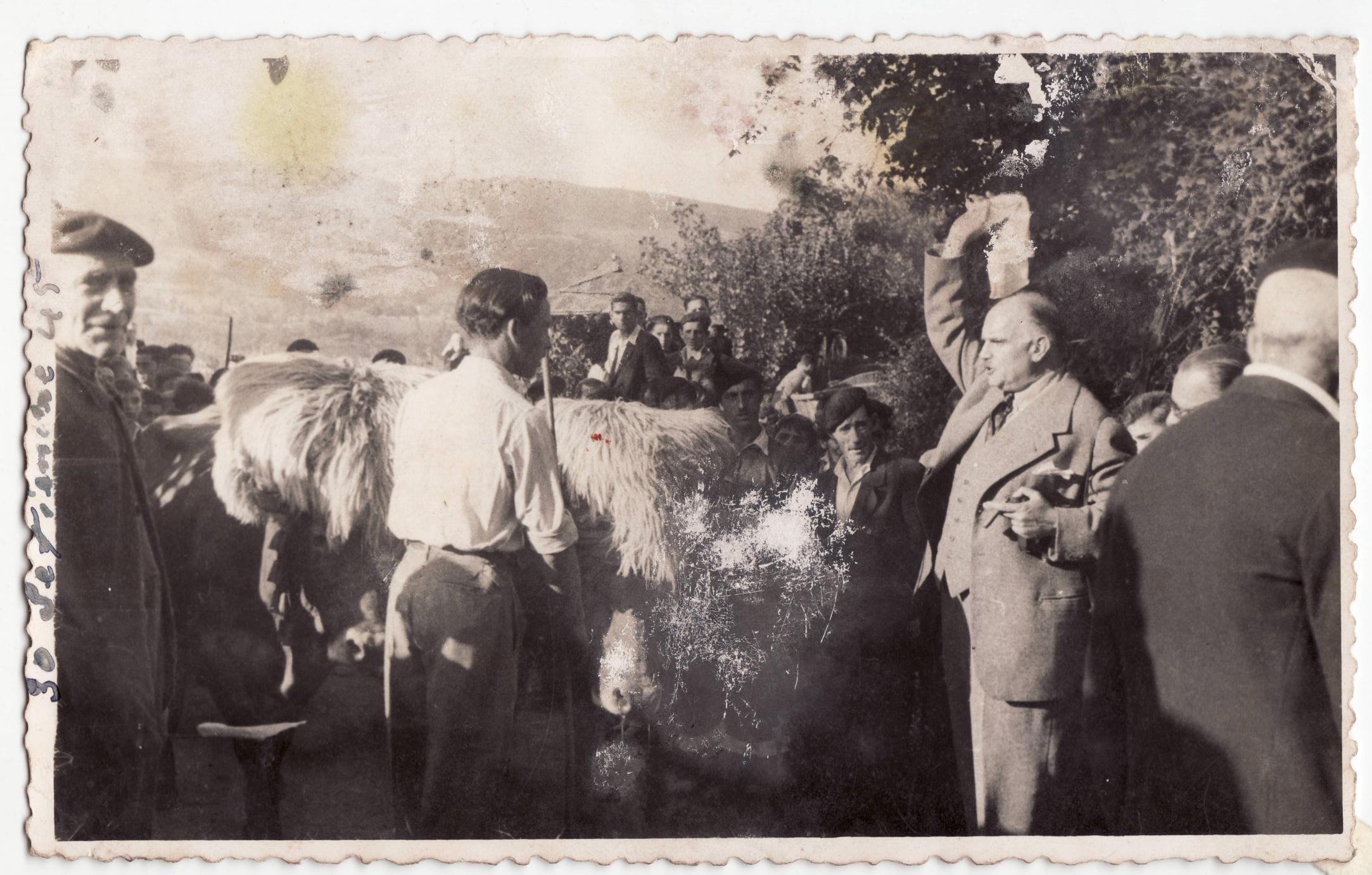 Imagen - Mozos de Valle con los bueyes durante las fiestas