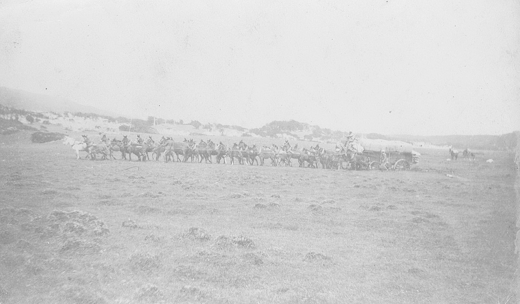 Imagen - Anónimo. Carreta de provisiones en Argentina, 1910